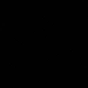 Meet your Posher, Nathan